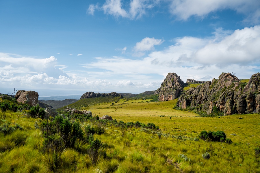 Top Reasons to Visit the Aberdare National Park, Kenya: Discover Its Unique Wildlife and Scenic Beauty