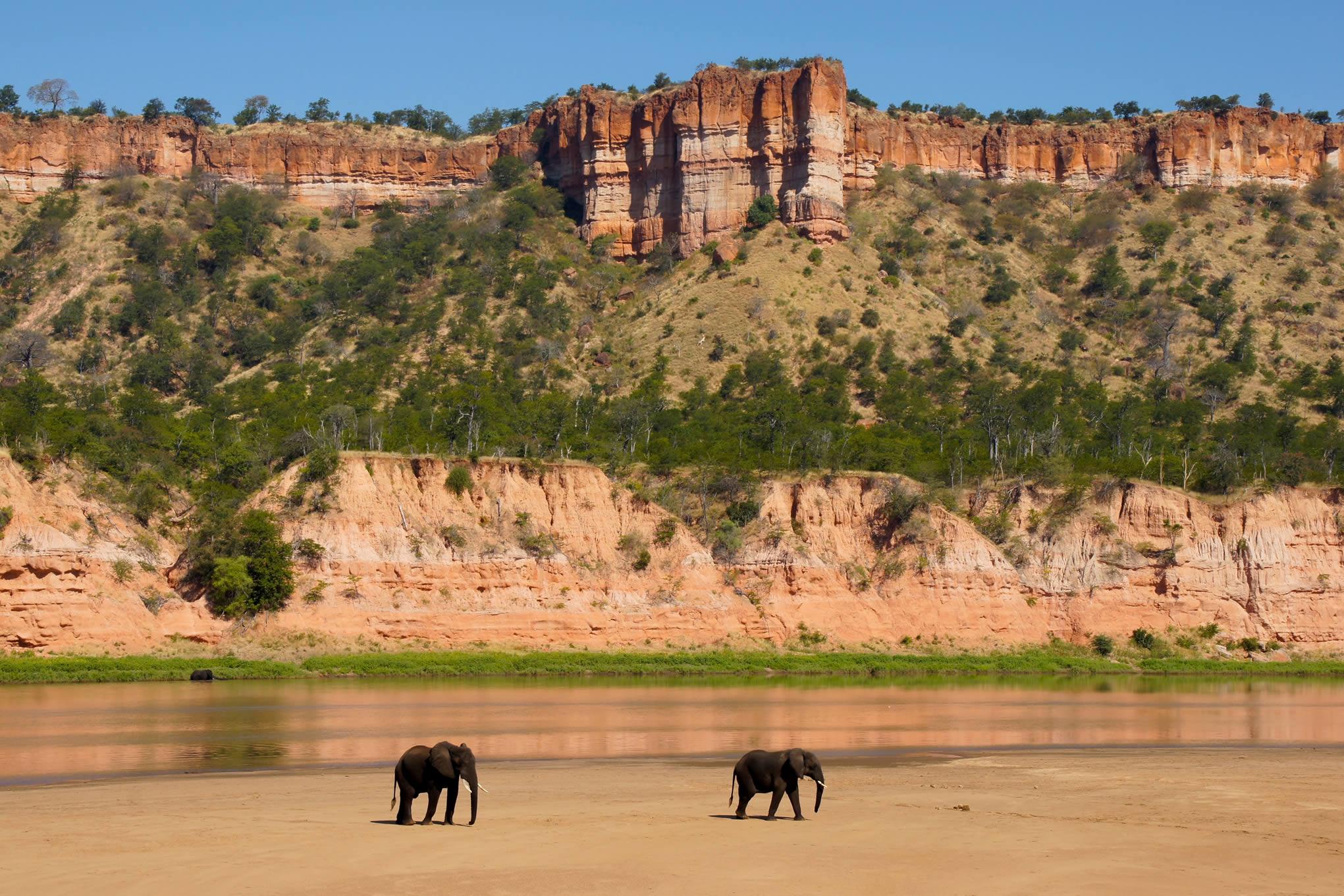 Top Reasons to Visit the Gonarezhou National Park, Zimbabwe: A Guide to Its Unique Wildlife and Stunning Landscapes