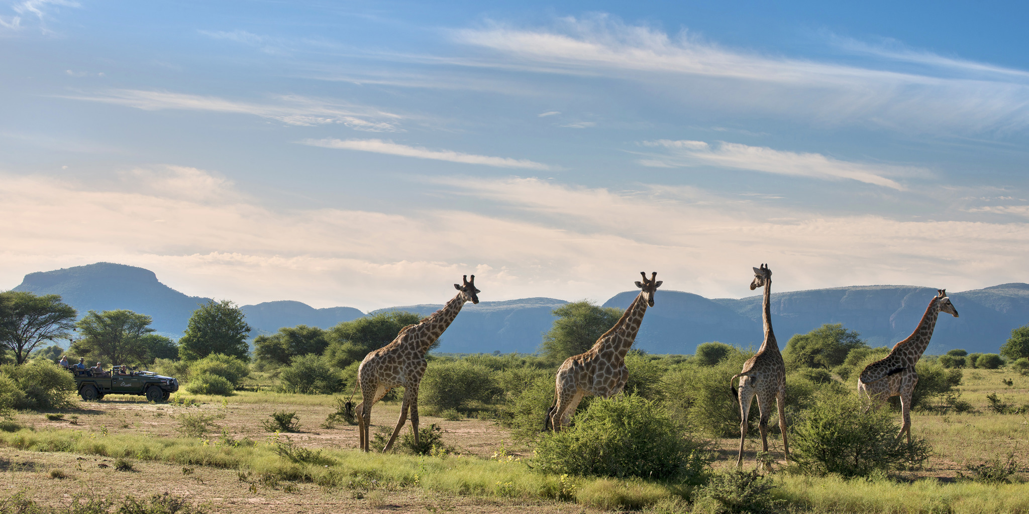 Top Reasons to Visit the Marakele National Park, South Africa: A Wildlife Lover’s Paradise