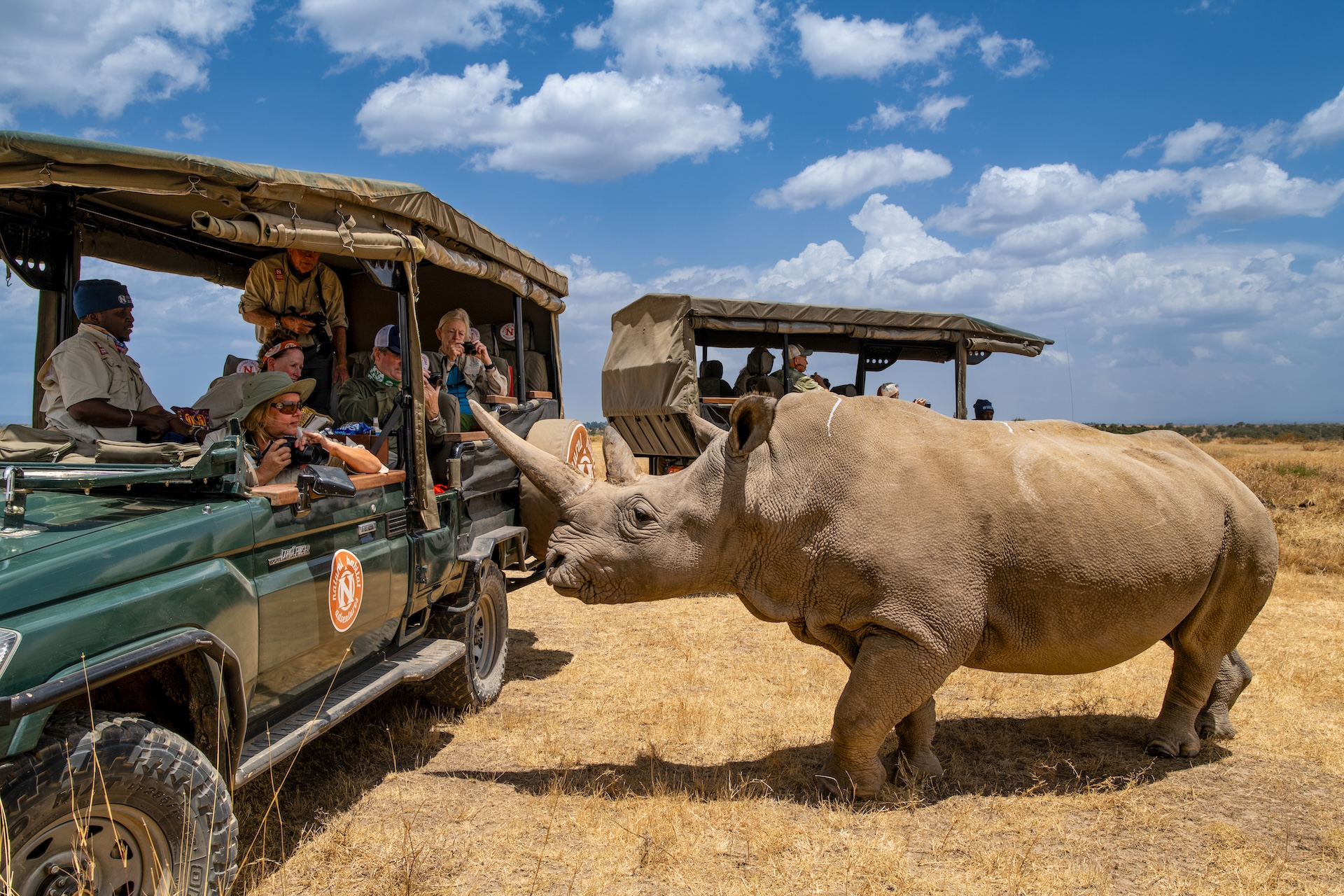 Top Reasons to Visit the Ol Pejeta Conservancy, Kenya: An Unforgettable Wildlife Experience